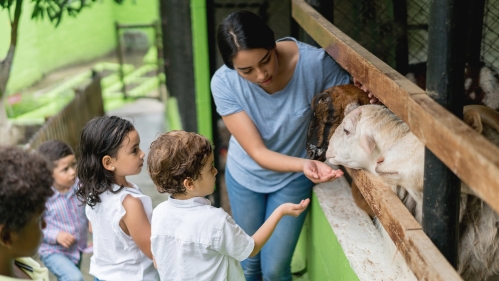 A teacher with a group of young students at an animal farm feeding a goat.