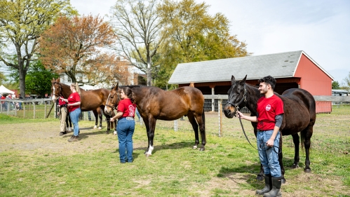 Three students standing with horses.