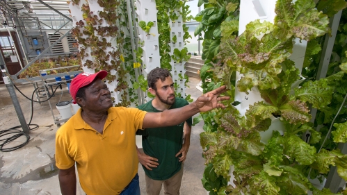 Two men examining a vertical gareden.