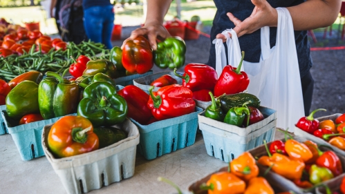 Vegetable at a farm market.