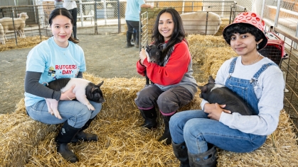Three students sitting on hay bales holding piglets.