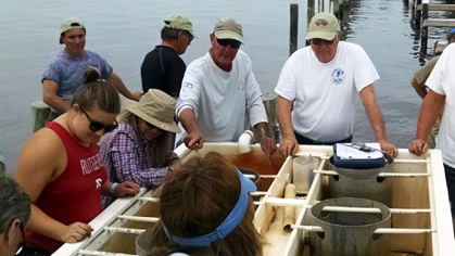 Shellfish restoration.