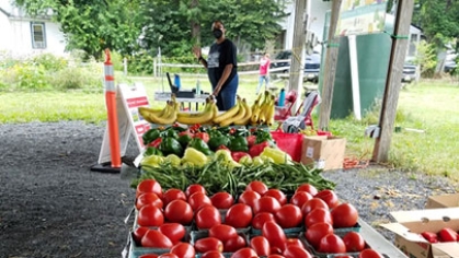 A person at a farmstand full of vegetables.