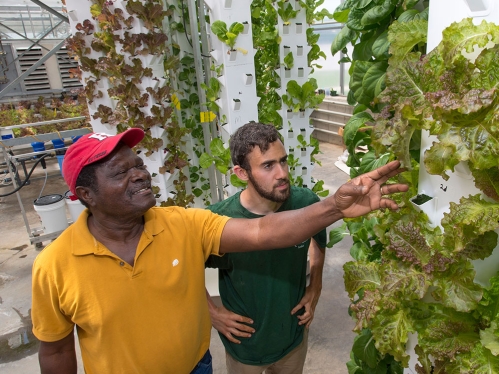 Two men examining a vertical garden.