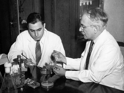 Scientists Albert Schatz and Selman Waksman working in a lab.