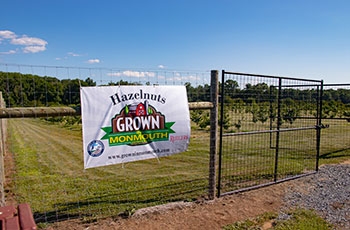 A field behind a chain-link fence with a sign on it that reads "Hazelnuts - Grown in Monmouth County".