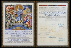 Selman Waksman's Nobel plaque.
