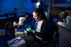 A student working in a lab.