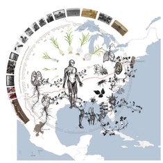 A narrative map.